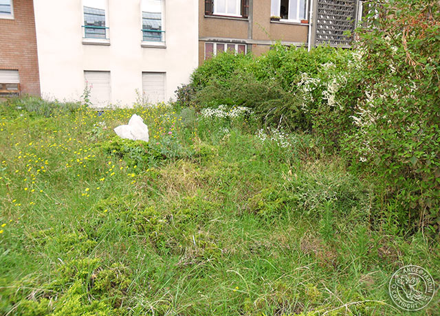 Remise en état Ange Jardin