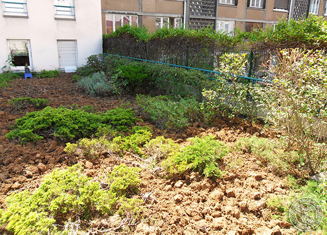 Remise en état à Paris Ange Jardin