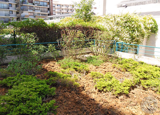 Remise en état Ange Jardin