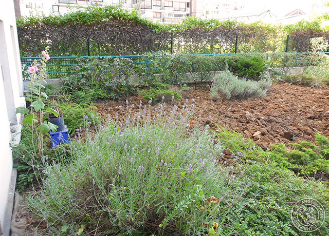 Remise en état Ange Jardin