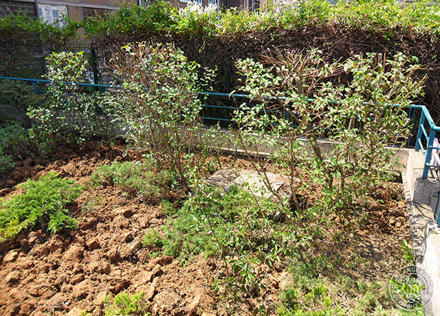 Remise en état Ange Jardin